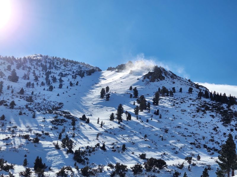 Areas of intense blowing snow near treeline