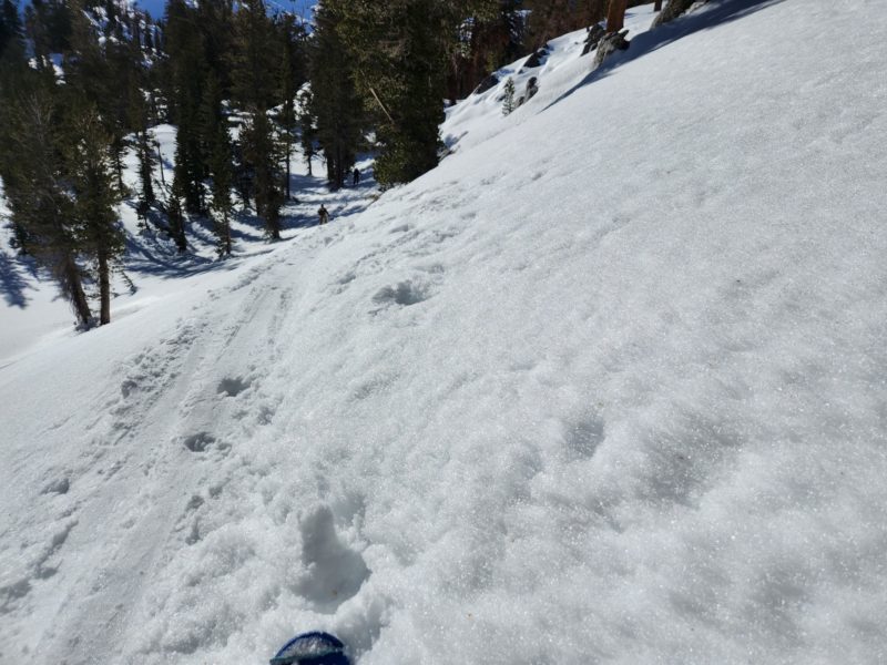 Spring-like snow on sunny slopes