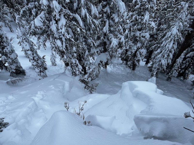 Deep avalanche debris from a D2 avalanche on a relatively small slope Below Treeline in the Mammoth Lakes Basin