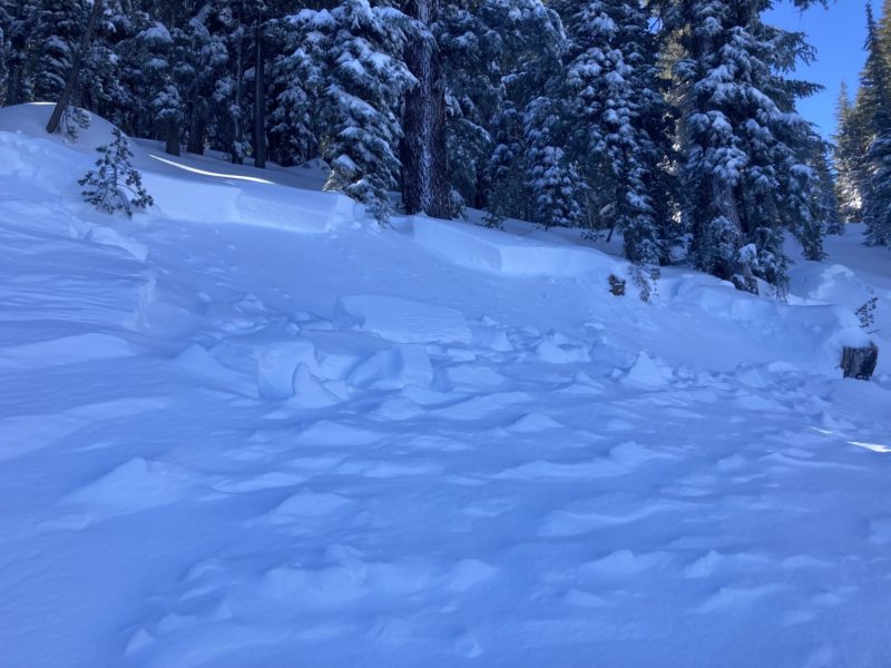 Natural avalanche on Minaret Vista Road