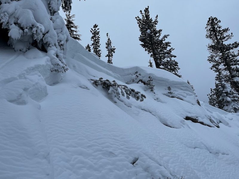 Close up of a section of the crown of a large persistent slab avalanche Below Treeline in the Mammoth Lakes Basin.