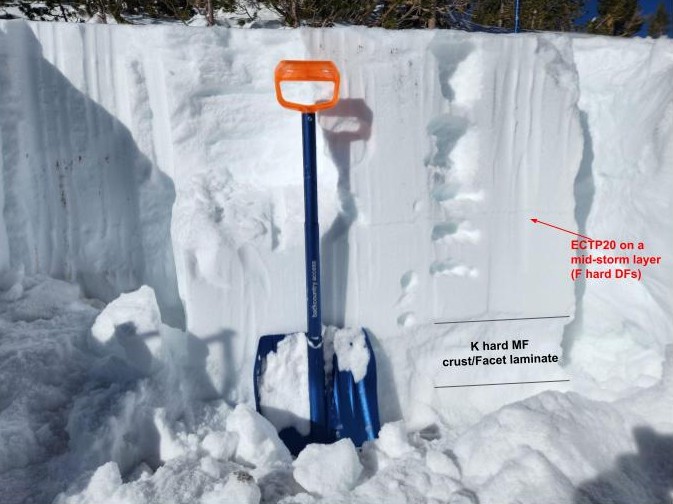 Snow pit at 10,900 feet on a SSE aspect on Patricia Peak