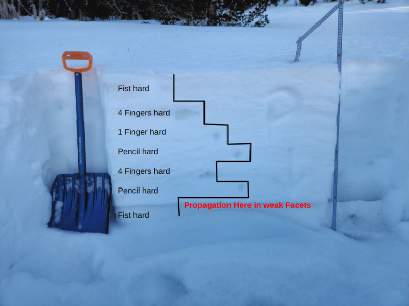 How to read a snow profile graph