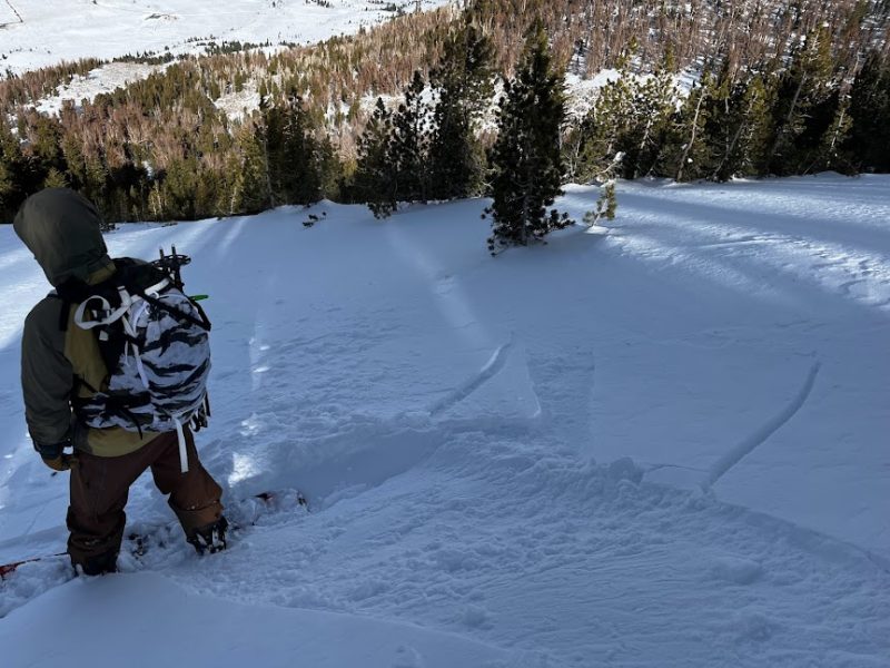 Old wind crust / slab still reacting to snowboard testing N aspect NTL - Sherwins 