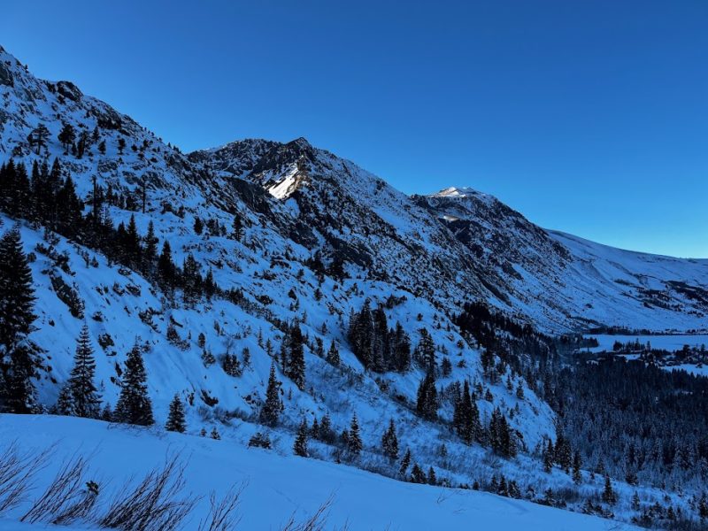 Thin coverage below 9000' in June Lake area.