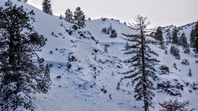 Wide propagation through old snow layers connecting terrain features. NE 8300'. Highway 395 - June Lake.