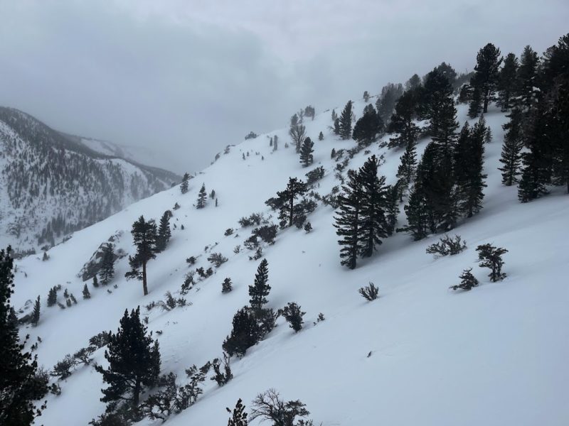 Wind loaded NE slopes in the Sherwins.