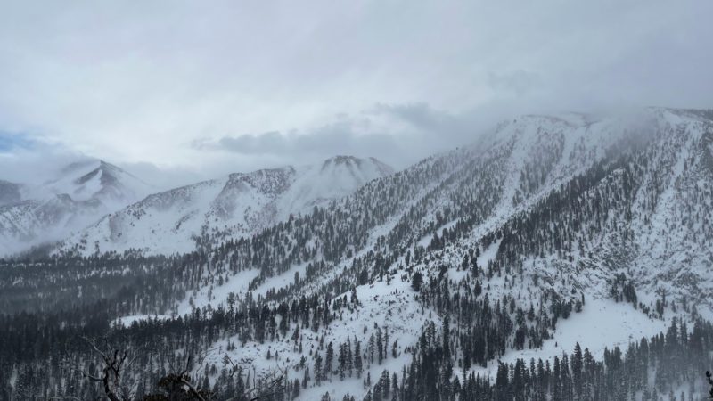 Blowing snow near treeline from Solitude Canyon to Laurel Mountain