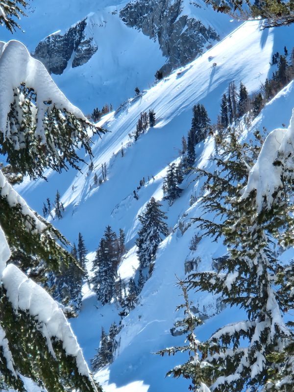 Storm slab avalanche below treeline above Lake George