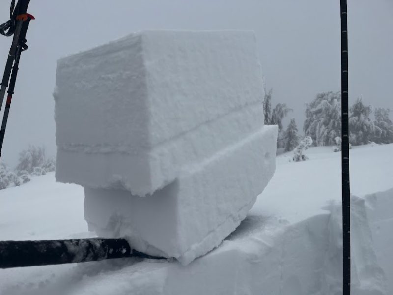 Shovel tilt test showing interfaces between layers of wind slab in the upper snowpack. None of these layers are especially concerning. No persistent grains between the layers, and no results with ski tests on test slopes.