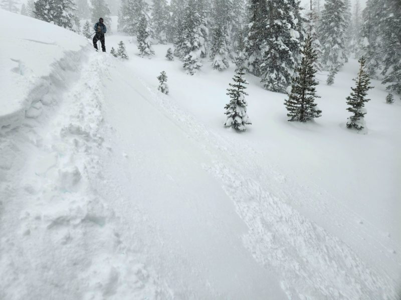 3 inch thick sluffs intentionally triggered on a test slope below treeline