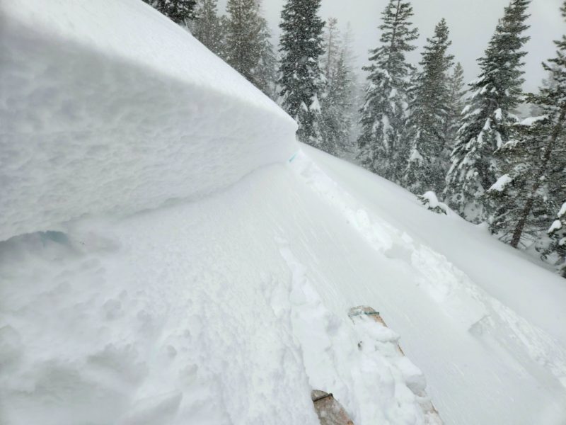 8 inch thick soft slab intentionally triggered on a test slope near treeline