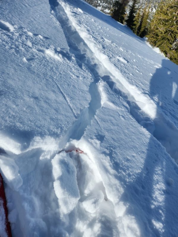 Stubborn wind slabs only cracked if I stomped above the skin track.