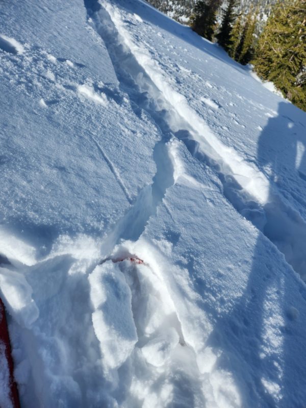 Stubborn wind slabs only cracked if I stomped above the skin track.