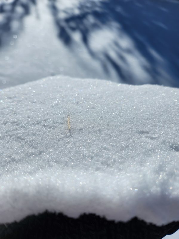 Small near-surface facets developing atop a wind crust