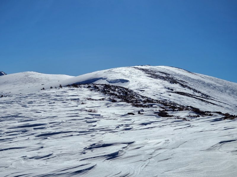 Stripping and sastrugi above treeline