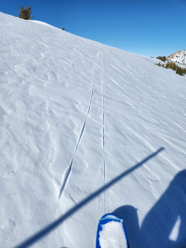 Got ski crampons?