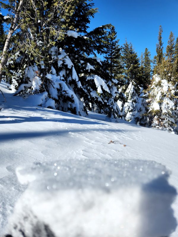 Surface facets, decomposing snowflakes, and small surface hoar atop a wind crust near treeline