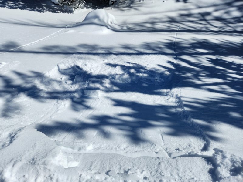 Sluffing on test slopes below treeline