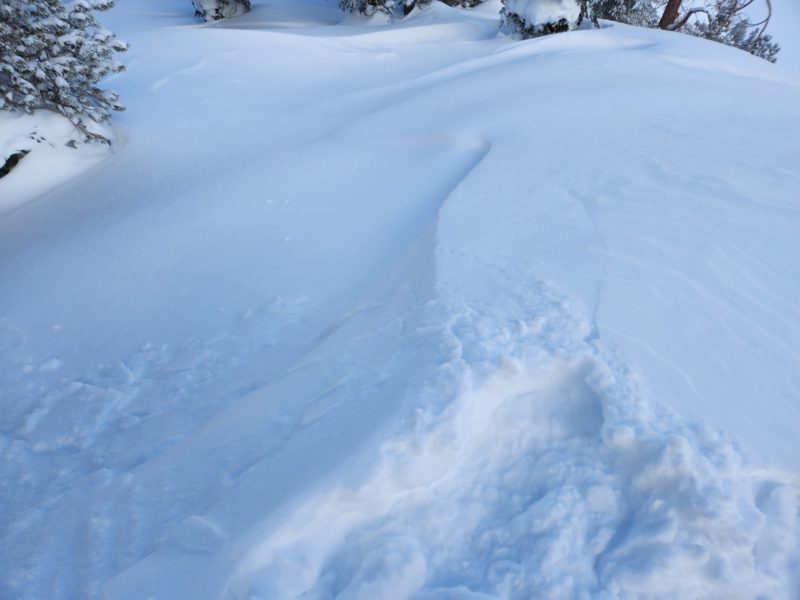 Shooting cracks in a soft wind slab on an easterly aspect near treeline