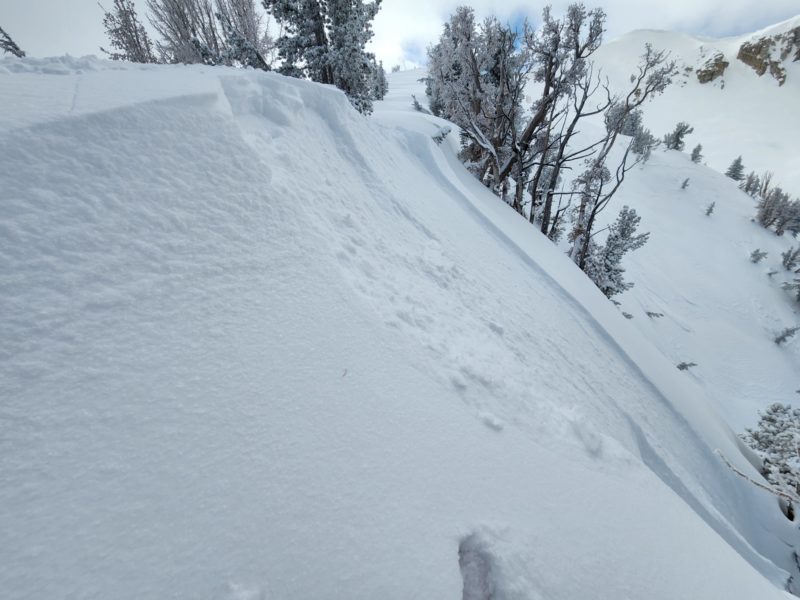 Soft wind slabs triggered on a westerly aspect near treeline