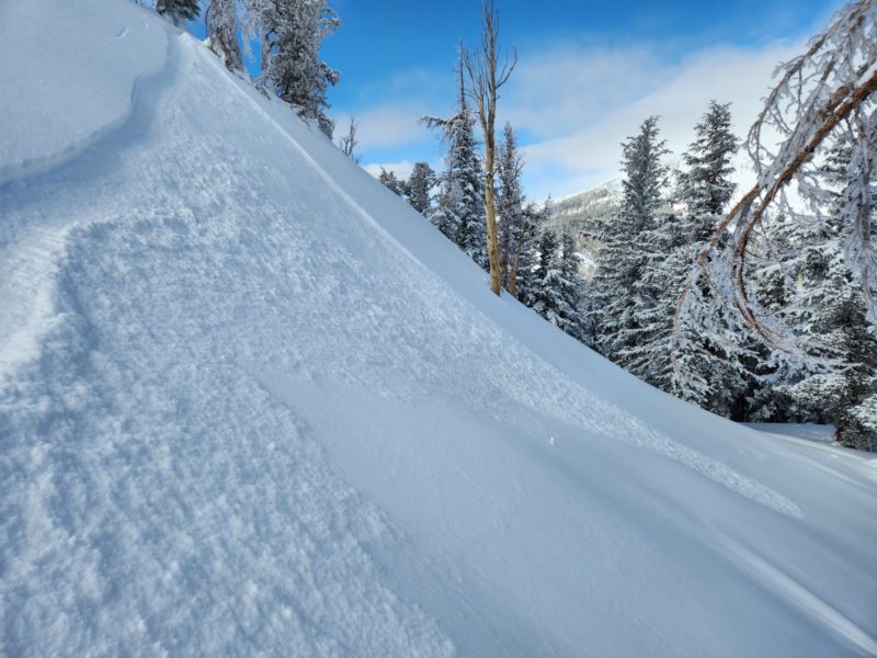 Loose dry avalanche triggered on a northerly aspect below treeline