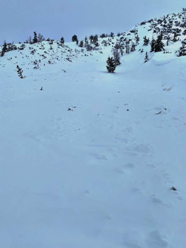 Buried avalanche debris on the runout of Jawbone Canyon.