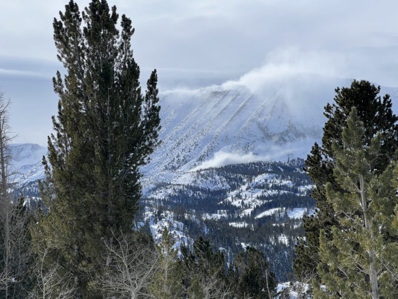 Wind transport and avalanche plume on NE end of Mt Starr, 1:21PM