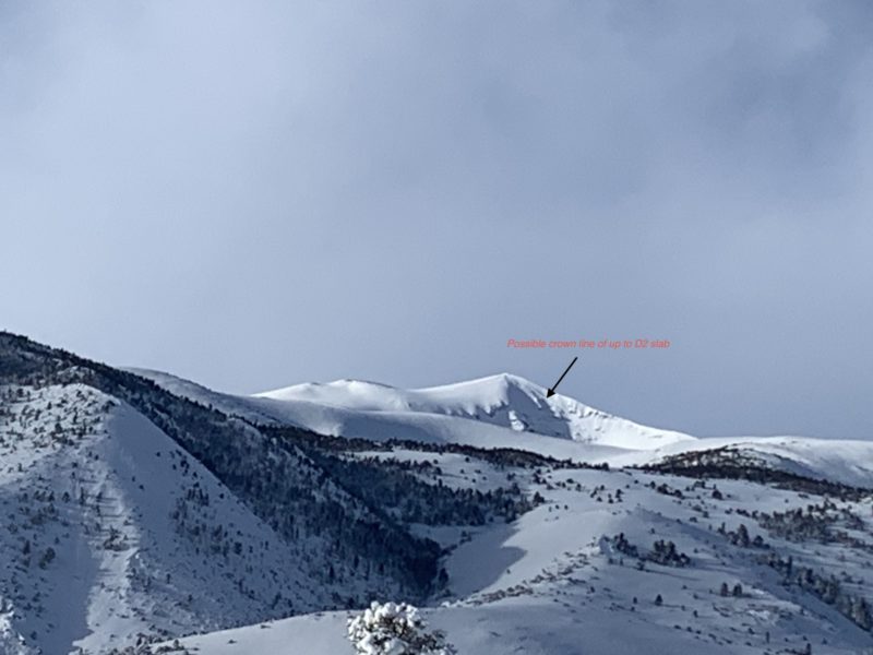 Crown line on Mt. Warren NE face, D2 or bigger 