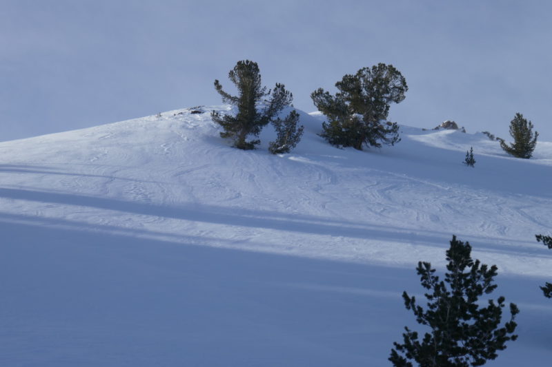 Wind ridges that formed last night. The skinner from yesterday was below this slope, and was completely filled in by drifted snow. The snow in this picture had patchy slabs, but skied well and didn't crack when switchbacks were kicked