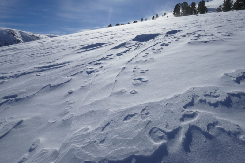 Wind erosion on yesterday's skinner. This was at 10k'. 