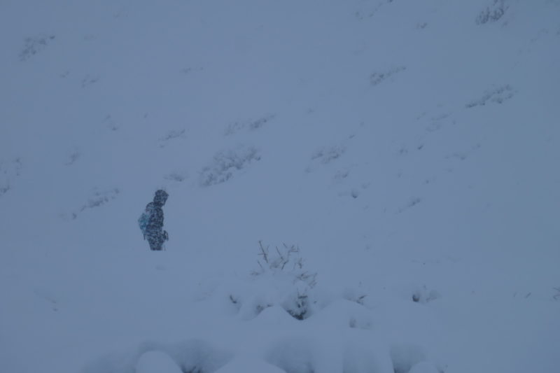 Hiking down in the heavy snow at 7500' around 15:40. 