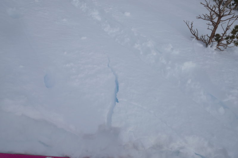 The only cracking we saw all day. This was at about 10k' on the lee side of a ridge in a wind slab. 