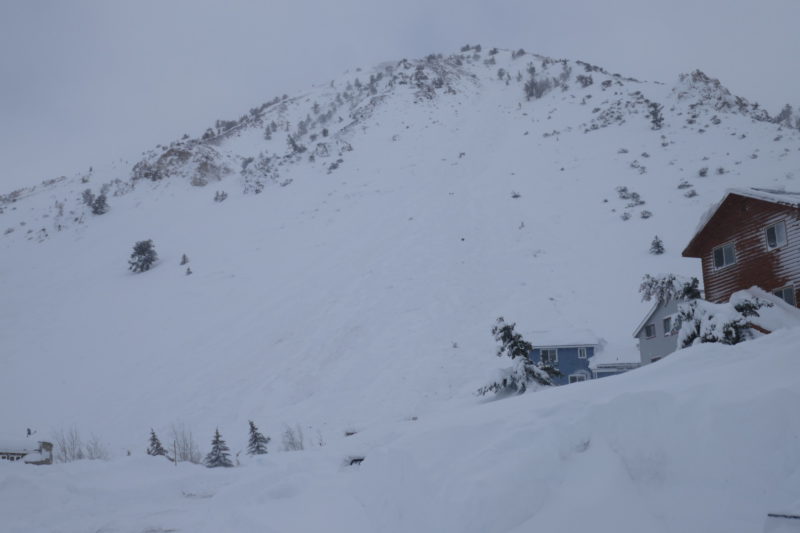 Large avalanche. It started in the trees at the top of the slope.