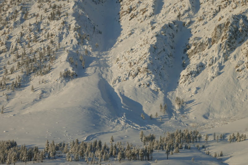 Interesting slide on the north end of Wheeler Crest above Swall. Looks like it ran near the end of the storm. 