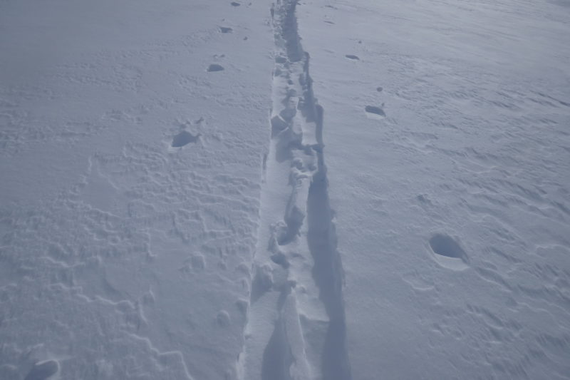 Everett's(?) skinner from yesterday on the moraines below Mono Jim. It was barely filled in with blown snow. 