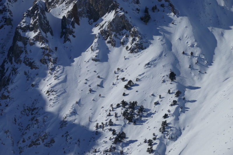 Despite intense sun today, this was the only thing I noticed that shed off the east facing cliffs on Laurel. This is to the lookers right of Mendenhall at ~9200'. Small loose avalanche.