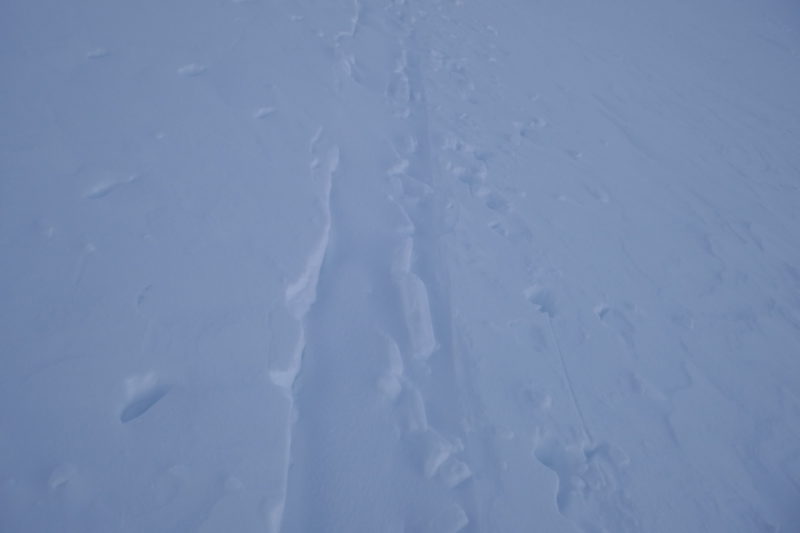 There was little to no blowing snow on the ridgetops, but downslope winds in old man's bowl were filling in the skin track and creating grabby slabs. This was 2-3 hours after the last party, and this level of snow refill was pretty average.  The snow in the bowl was quite crusty and looked like it would have been a grabby and not fun ski on light weight 95s. However, I bet the snowboarders enjoyed it:)