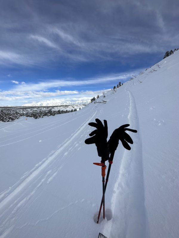 The skin track. 