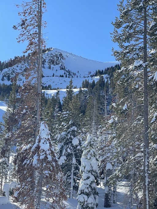 Wind slab avalanche crown near Mammoth Rock Bowl