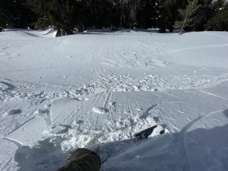 Cracking in wind deposited snow