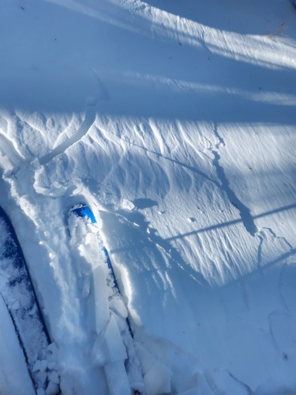 Cracking in wind slabs near treeline