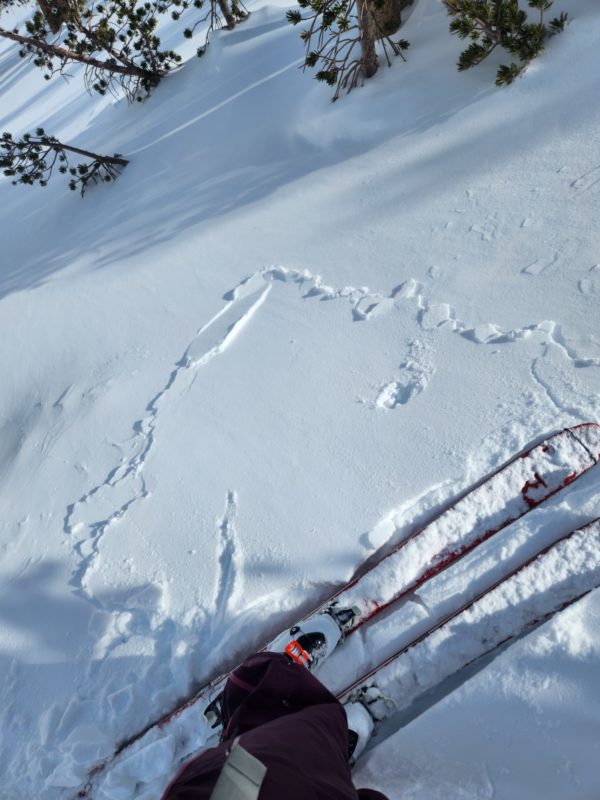 Thin wind slab breaking under our skis