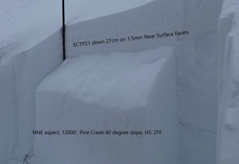 ECTP21 down 25cm, NE, 12000', 40 dgree slope, Pine Creek.