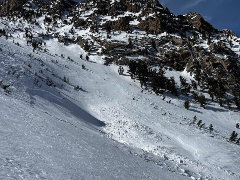 Oblique angle of a small avlanche from the 2/14 cycle that included small isolated pockets that broke on faceted layers in the upper snowpack. The blocks in the debris are a good reminder of the force of even a small avalanche.