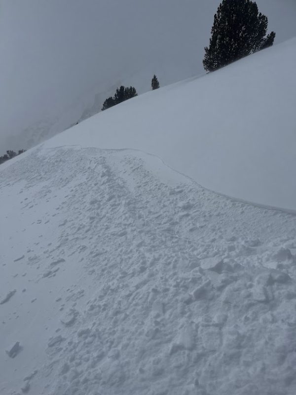 10,000' Dana Plateau HN:5-15cm
Non-cohesive, blowing snow, but limited wind drifting 