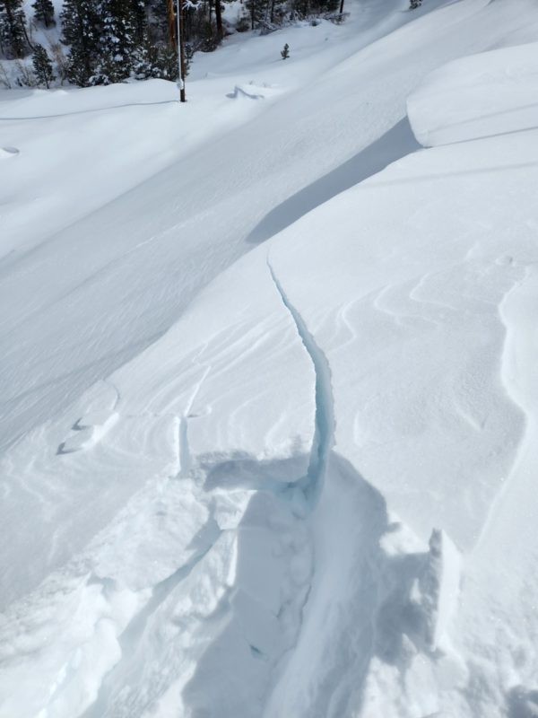 Cracking on wind-loaded test slopes below treeline