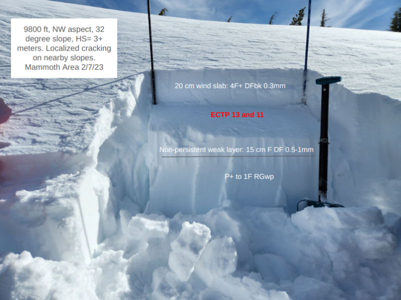 Test Pit - Targeted obs for Wind Slab, NW - 9800', Mammoth area.