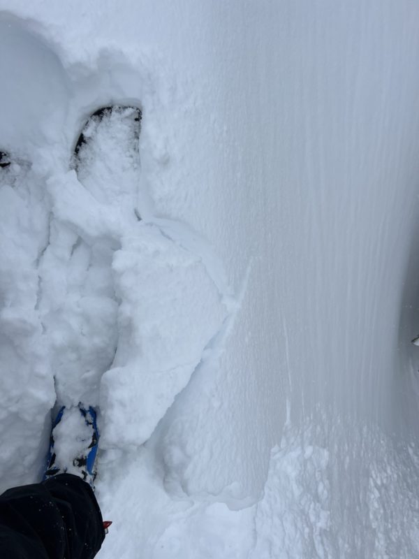 Widespread small, soft, touchy storm slabs while breaking trail.