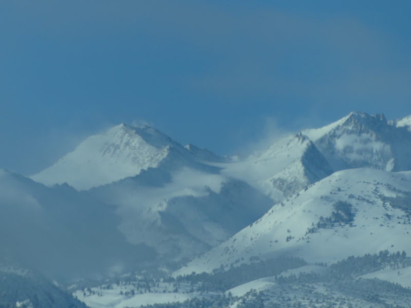 Blowing snow Lamarck